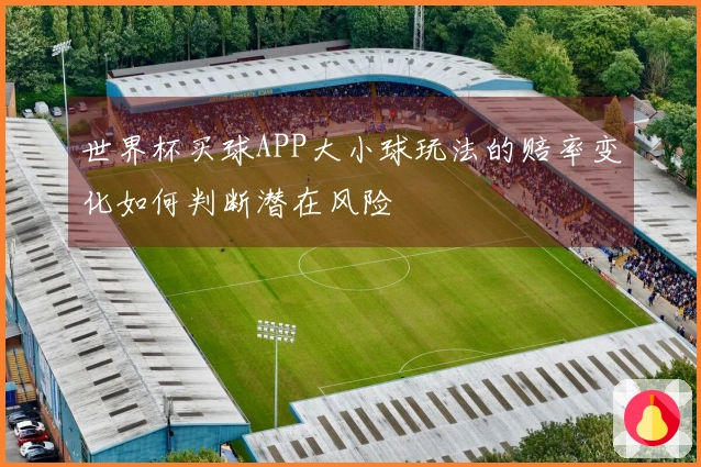 世界杯买球APP大小球玩法的赔率变化如何判断潜在风险