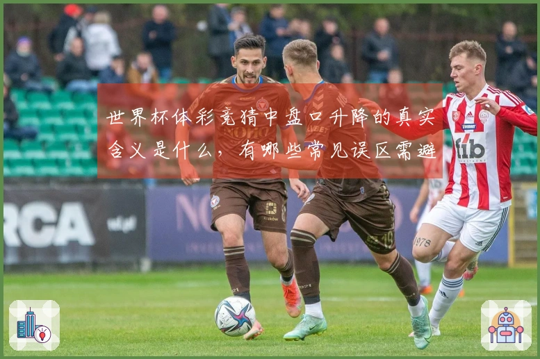 世界杯体彩竞猜中盘口升降的真实含义是什么，有哪些常见误区需避免？