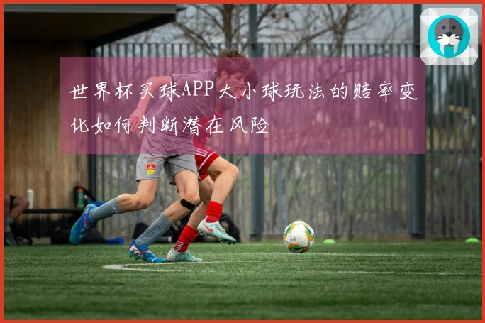 世界杯买球APP大小球玩法的赔率变化如何判断潜在风险