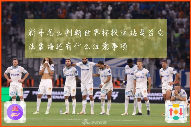 新手怎么判断世界杯投注站是否合法靠谱还有什么注意事项